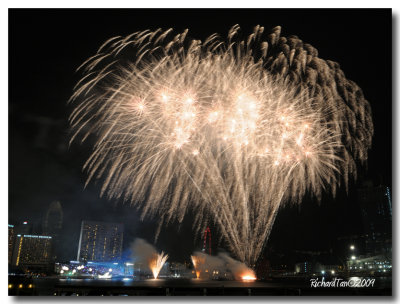 NDP_Fireworks 162.jpg
