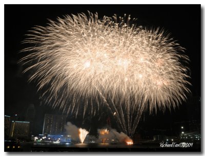 NDP_Fireworks 163.jpg