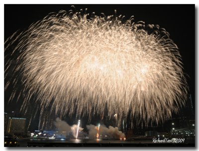 NDP_Fireworks 164.jpg