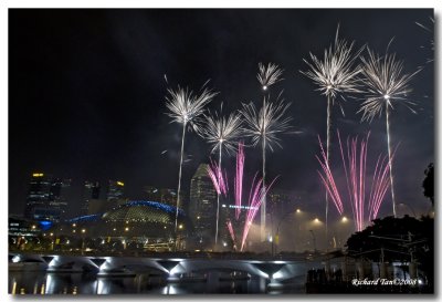 CNY Fireworks 2008 018.jpg