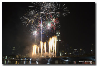 CNY Fireworks 2008 207.jpg