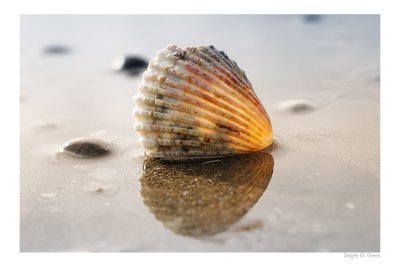 DSC_7756_FR_.jpg