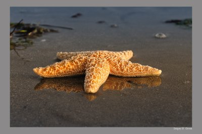 DSC_7863_FR_.jpg