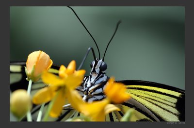 DSC_8029_FR_.jpg