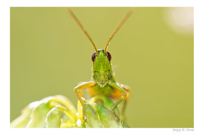 DSC_8404_FR_.jpg