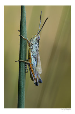 DSC_8512_FR_.jpg