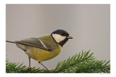 DSC_4820_FR_.jpg