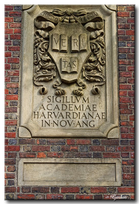 Campus de l'Universit de Harvard