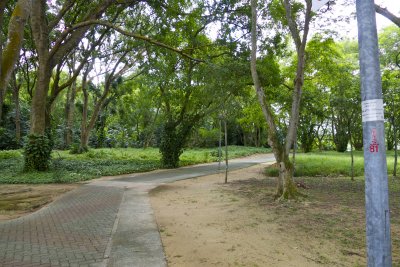 20101229 Gardens Central Site - 19.jpg