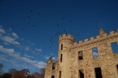 Bishops Palace