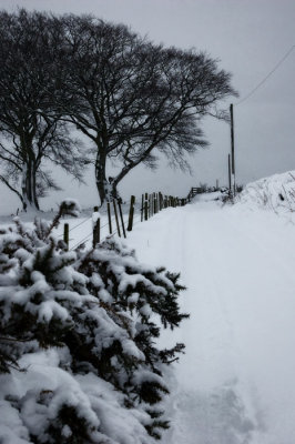 12th February 2009  more snow