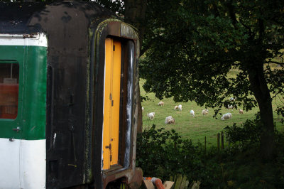 DSC_0243 copy.jpg