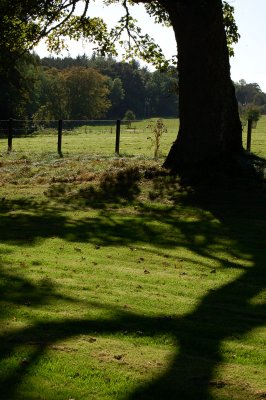 25th September 2009  long shadows