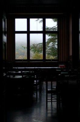 DSC_0016 copy.jpg