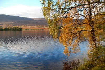 15th October 2009  Loch Alvie