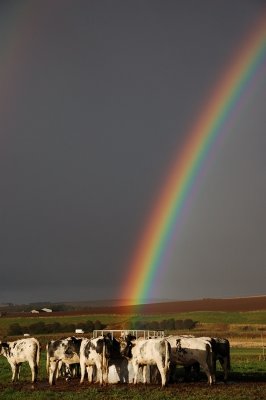 24th September 2010  rainbow