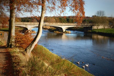 7th November 2010  sunny November weather