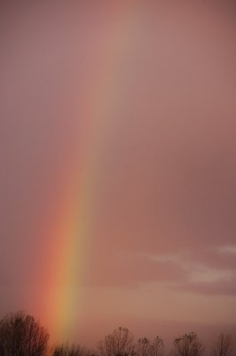 10th November 2010 <br> red sky and rainbow