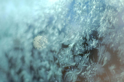 7th January 2011  frosty morning