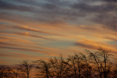 29th January 2008  wispy sky