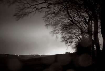 3rd February 2008  <br> trees at night in a storm
