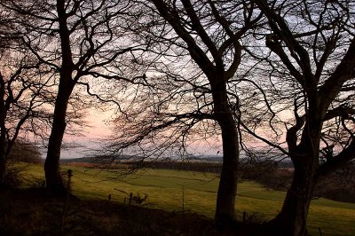 25th February 2008 <br> hazy evening