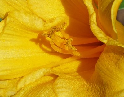 e CROPPED to 1.jpg