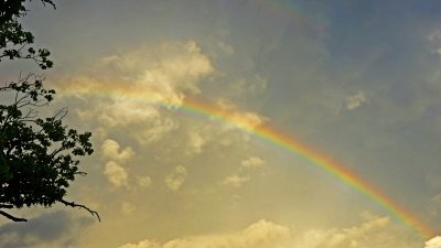 e Rainbow 1  TZ5 P1080640.jpg
