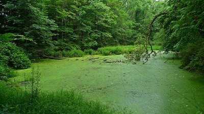 e Green Waters  LX3  ps cs4 P1020799.jpg