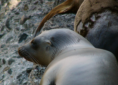 e    113_113.jpg