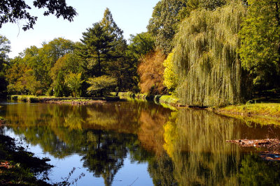 e  Nutley Park  TL350  FS only SAM_0282.jpg