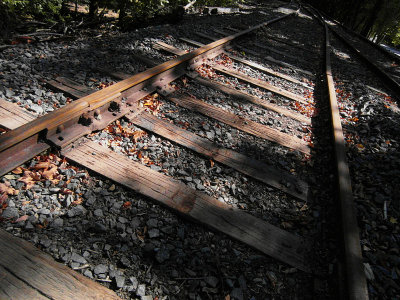 e  tracks  iso 800  TL350  FS only SAM_0609.jpg