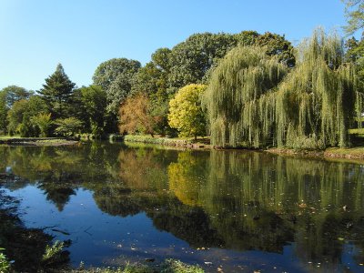 e Nutley park  5  FS only SAM_0494.jpg