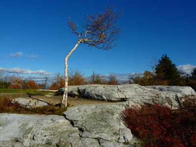 e Mohonk  ZS3   FS onlyP1060774.jpg