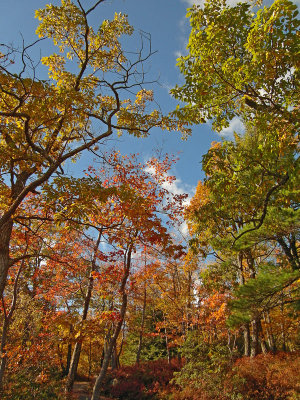 e Mohonk Mountain  TL350  ps cs5  SAM_1130.jpg