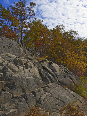 e Kinnelon  2010  fz35  ps cs5 RAWP1020692.jpg