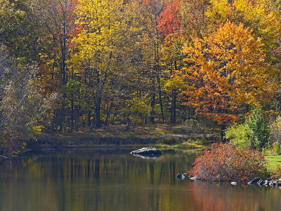 e Kinnelon  2010  fz35  ps cs5 RAW  P1020646.jpg