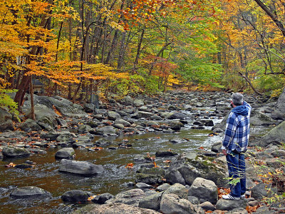 e 2 TL350  Sal Kinnelon  2010  SAM_1563.jpg
