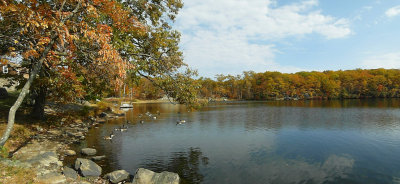 e panoramic  TL350 FS only SAM_1686.jpg