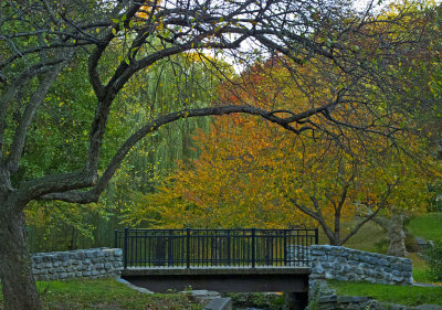 e3  final TL350 2 RAW  ps cs5 LR -2001.jpg