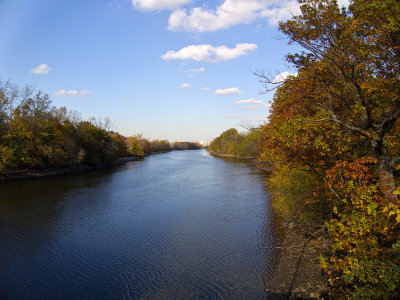e rutherford FS  2010 TL350  LR RAW -2332.jpg