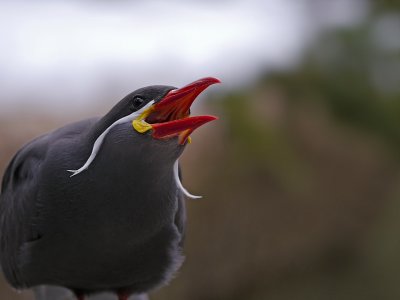 e GH2 ps cs5 P1000351.jpg
