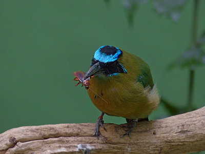 e  P1010425.jpg