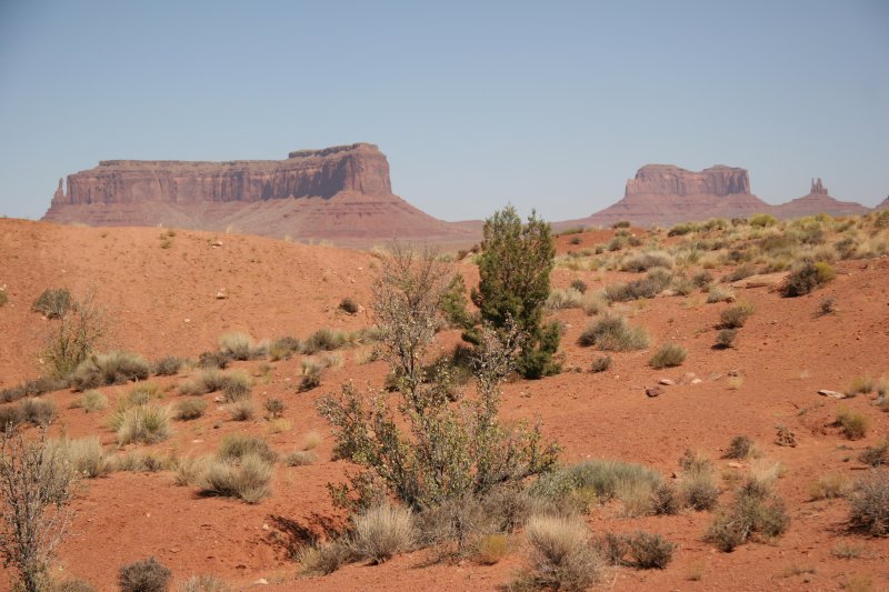 Desert vista