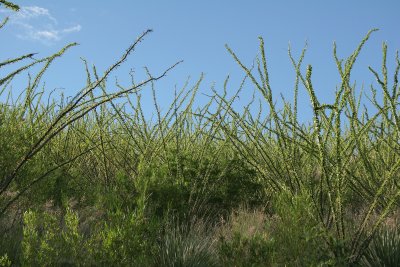 g1/83/756683/3/104126756.ANHIQn2E.jpg
