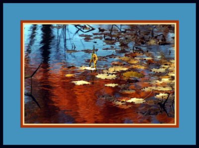 Reflection