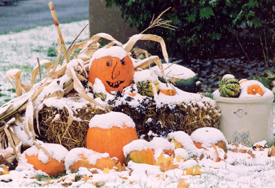 Snow on pumpkin decorations