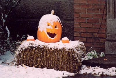 Pumpkin with snow