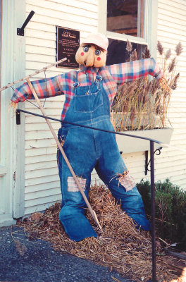 Scarecrow farmer
