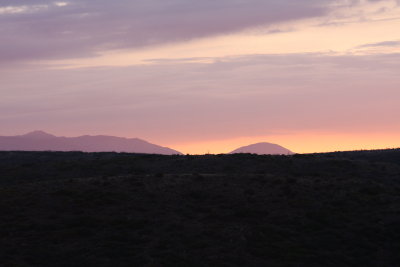 Lavender sunrise